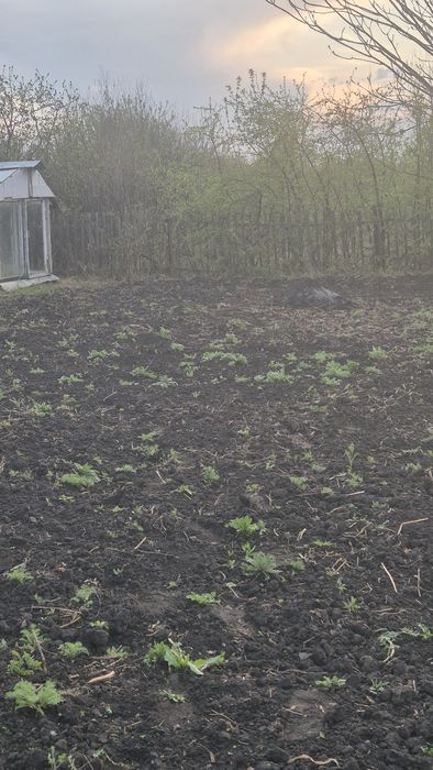 Продам дачу в с/о Ромашка