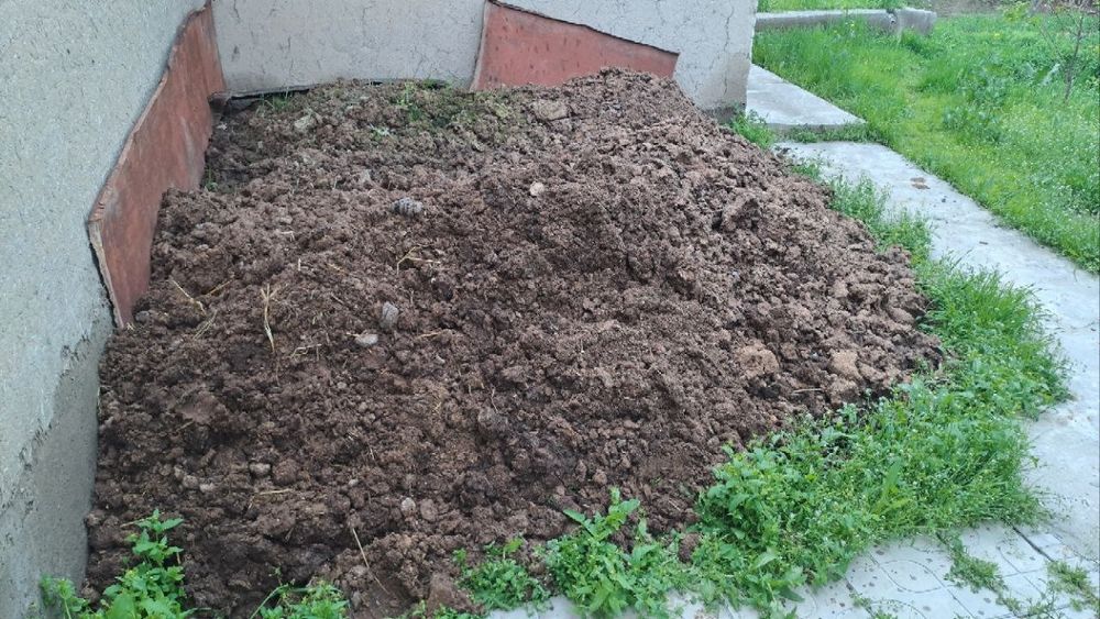 Srochna poru bepul beriladi!