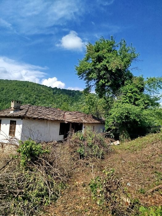 Косене и  почистване