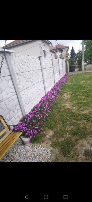 Продава се Парцел в Пловдив, Тракия - 650 кв.м за 70 €/кв.м - Снимка #9