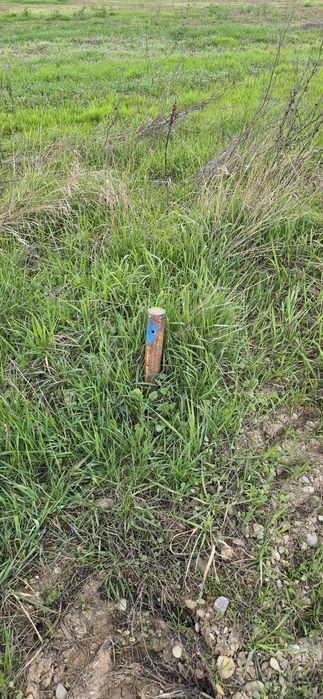 Snagov Ciofliceni Pădure