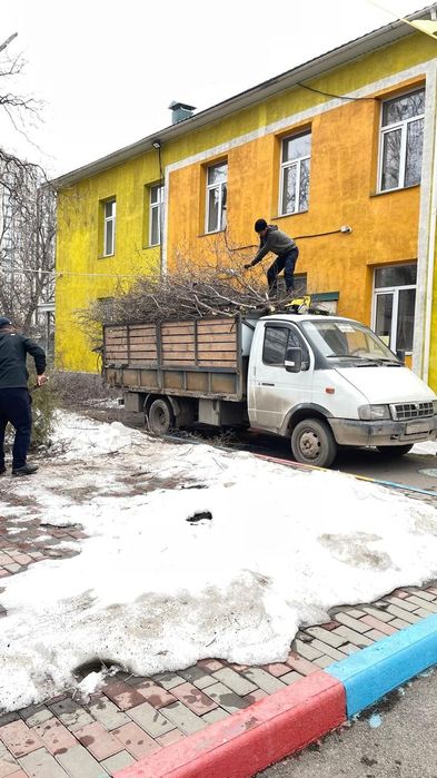 Вывоз мусор Алматы