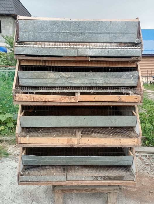 Клетка для перепелок