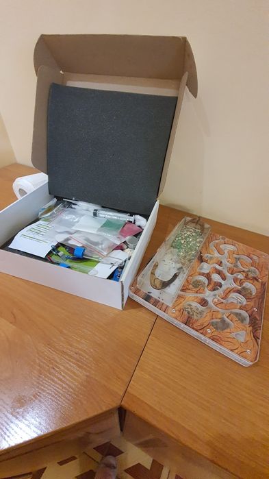 Формикарий от Антпланет без муравьёв.