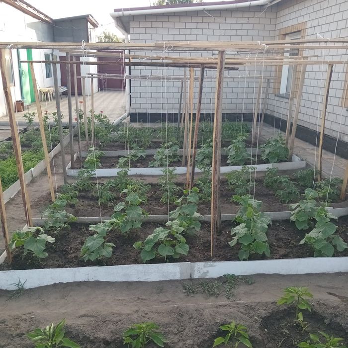 Продам дом в районе Мдс.