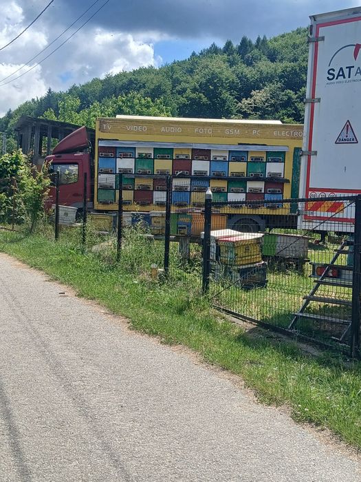 Vand Stupină cu Albine Bio