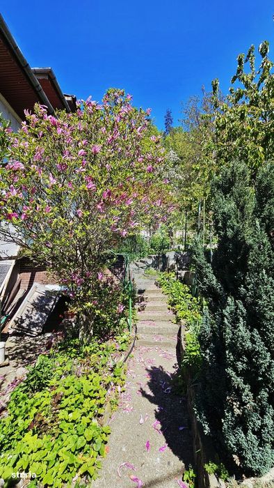 Apartament cu 3 camere de vânzare în zona Central