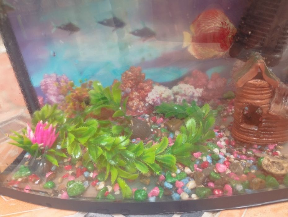 Аквариум Все набор есть
