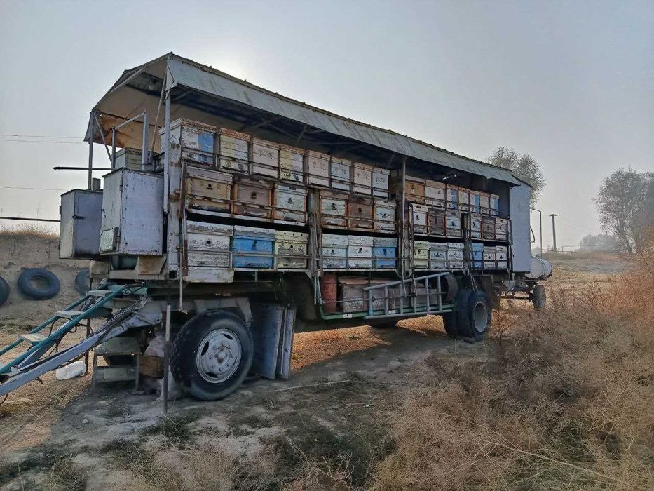 Продаётся ПАСЕКА