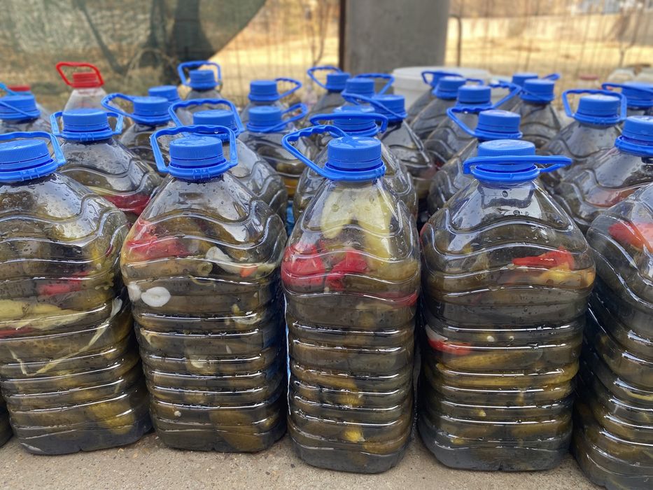 Соленный огурцы и помидор квашенный капуста или чимчи либо кимчи