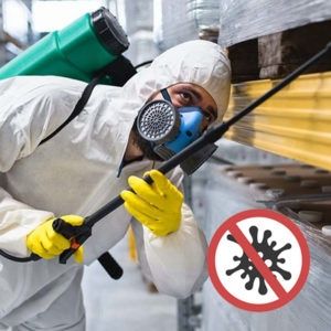 dizinfeksiya xizmati toza va sifatli bajariladi.