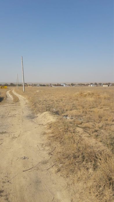 Земля заречный 24сотки торг