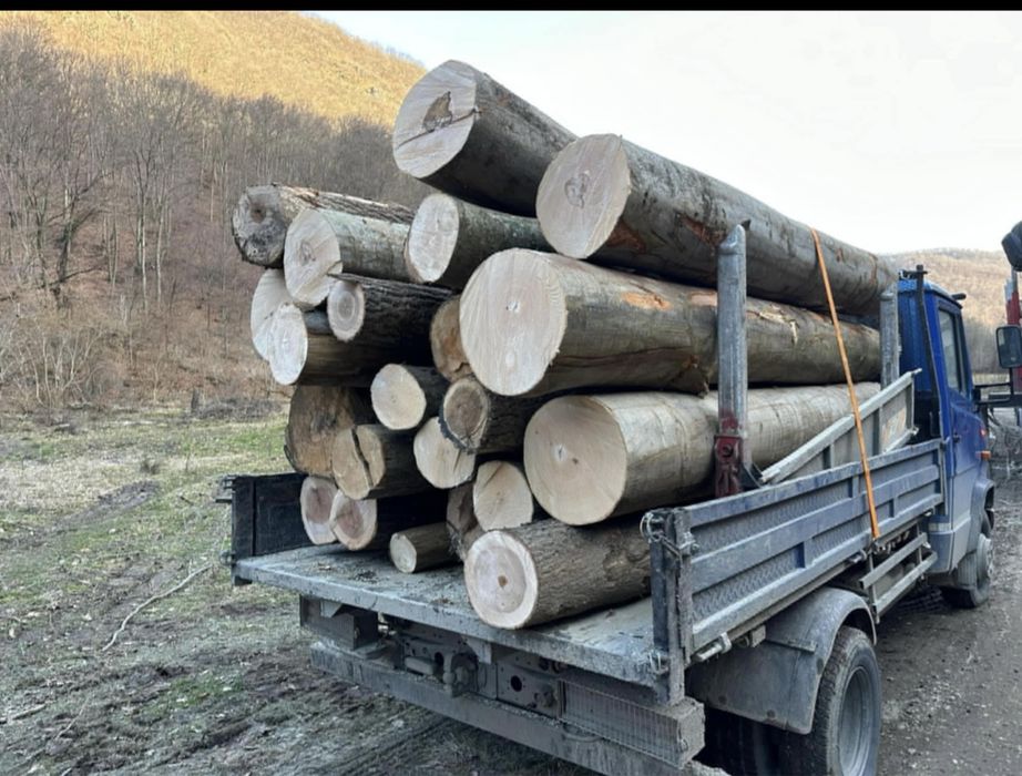 Lemn foc la 3m !! Tot judetul Hunedoara !Contra cost se taie si sparg!