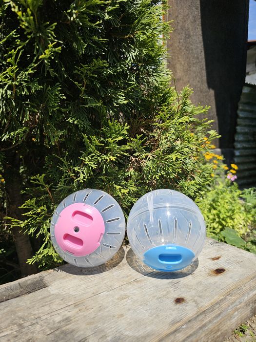 Все для хомяков + бонус