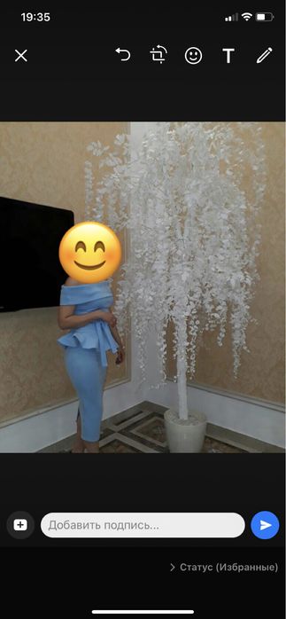 Платье двойка