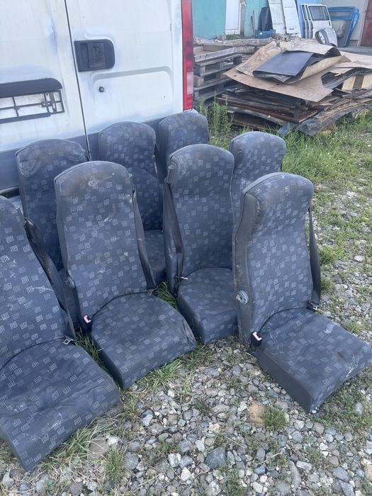 Scaun/ scaune auto microbuze