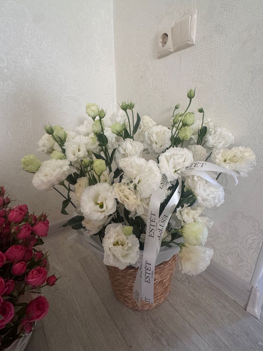 Цветы продам продам
