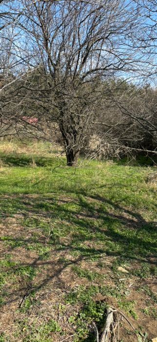 Продава се Парцел в с. Богомилово, Област Стара Загора - 1878 кв.м за 19 €/кв.м - Снимка #7