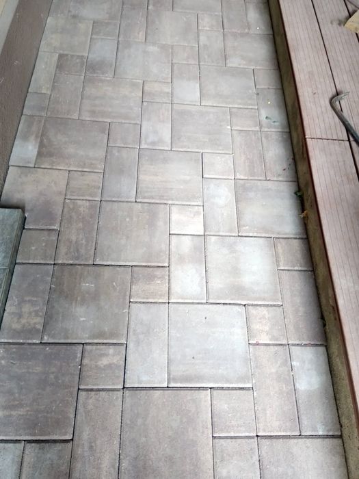 Echipa profesionista