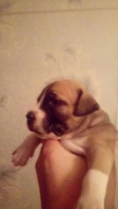 Вязка . Кабель. 4 года