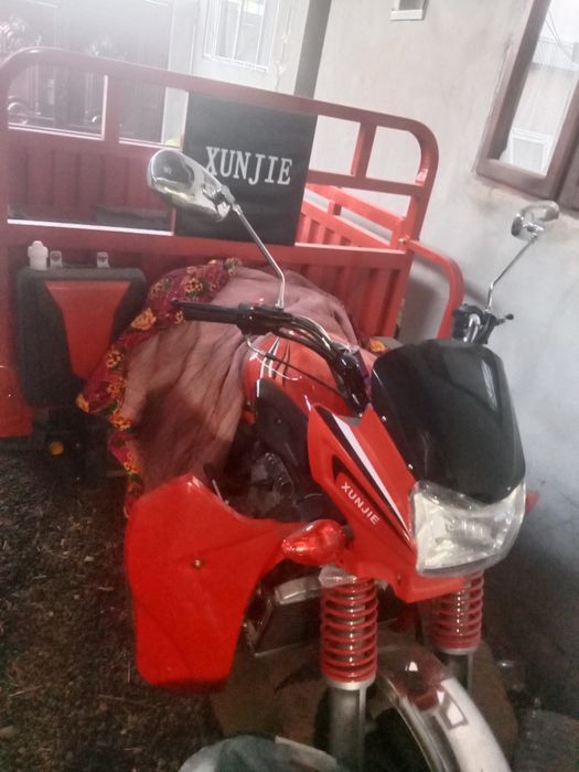 xunjie 2.500 kg 250 kub 2024 yengi