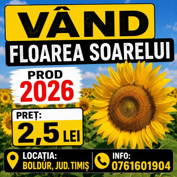 Vand floarea soarelui prod 2026