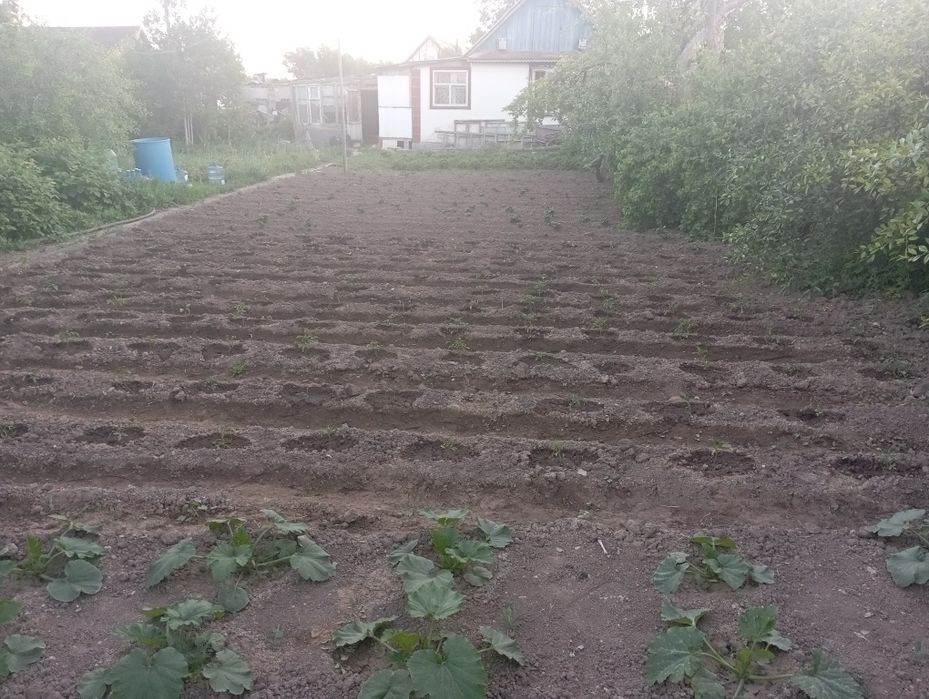 Продаю дача БАМ горняк, улица Вишнёвая