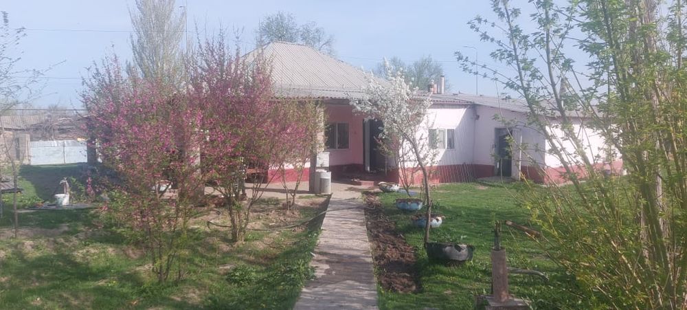 10 млн. Жер үй, Төреарық ауылы