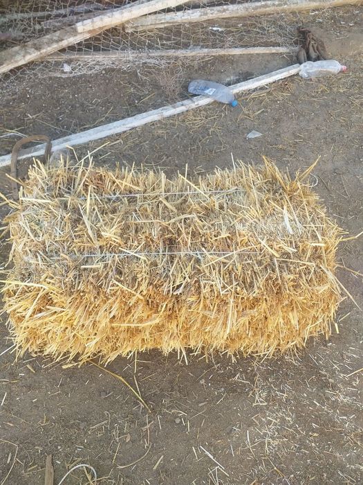 Буғдой пресс сомон