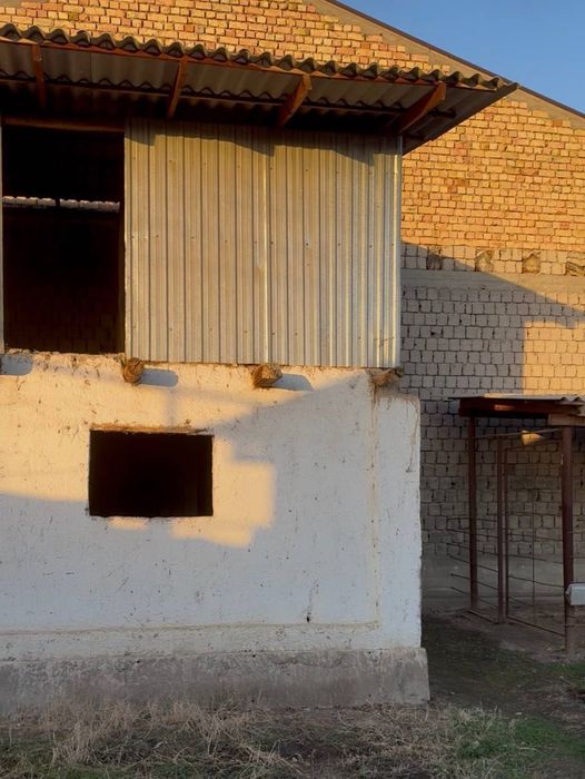 Ер сотилади.Барданкул 10 сотих ер!