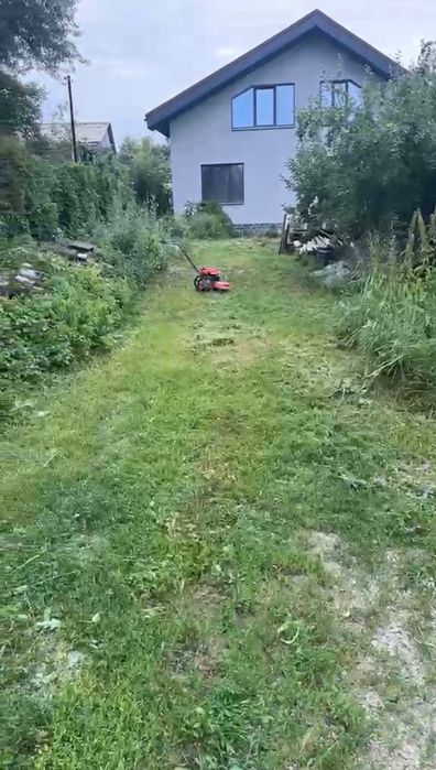 Расчистка участка