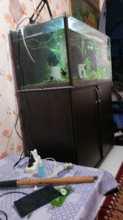 Большой аквариум