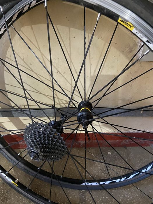 Roti mavic 28 cursiera