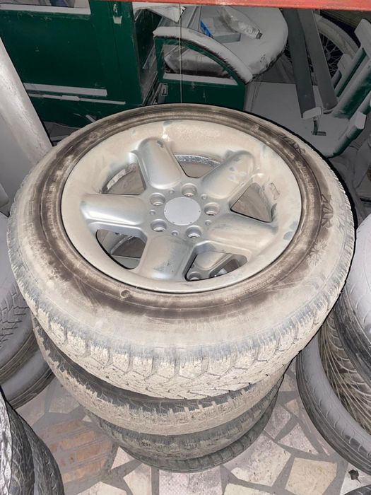 Продам шницера р16