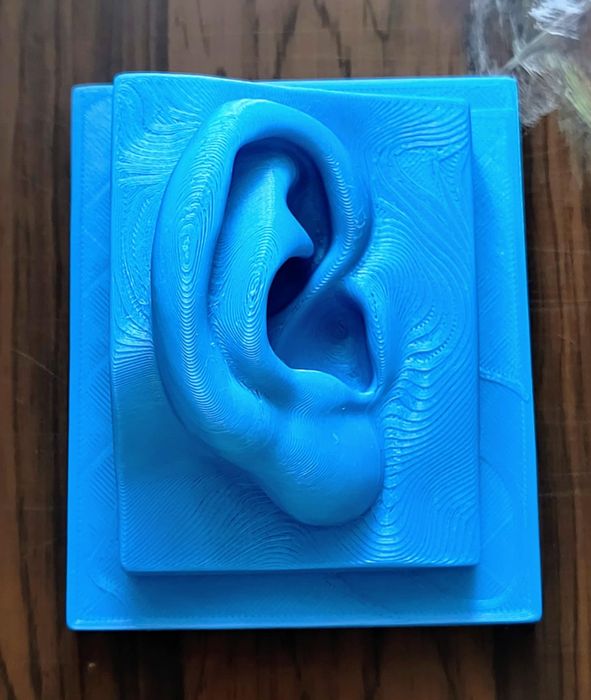 Нос, ухо, око и уста на Давид от Микеланджело