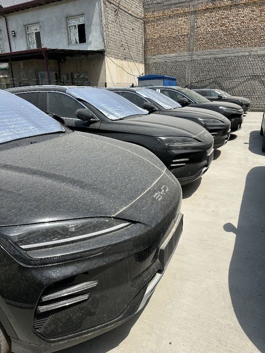 BYDsong plus 2025 restayling (optom narxlarda]