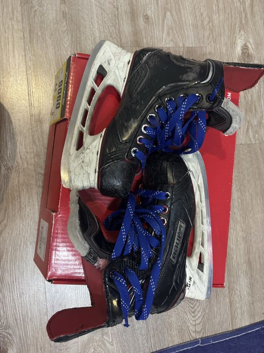 поньки bauer x500