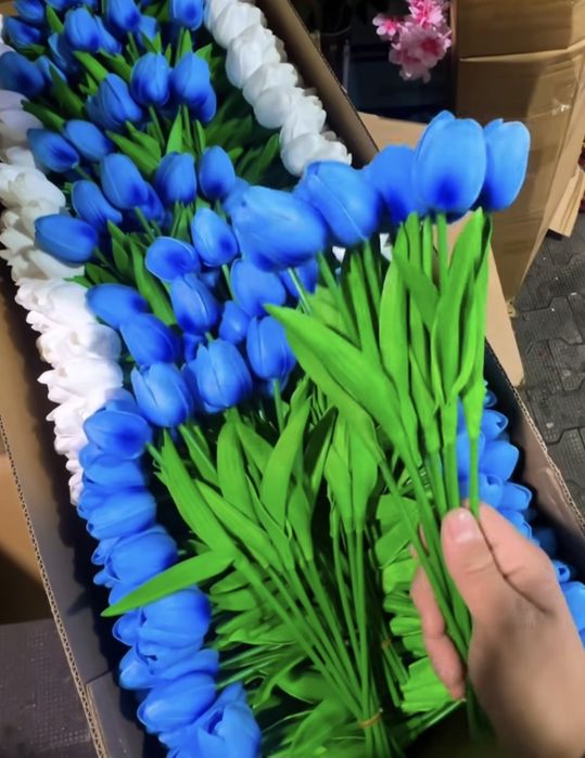 Лолалар 10та почкасида