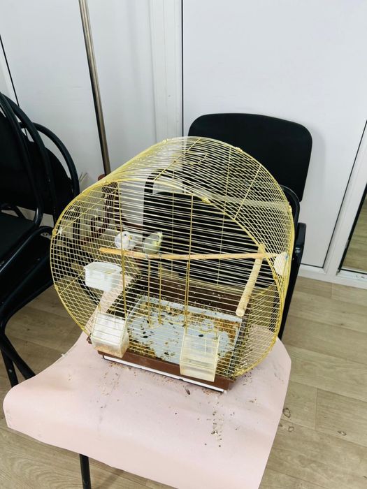 Стол и стулья продаем