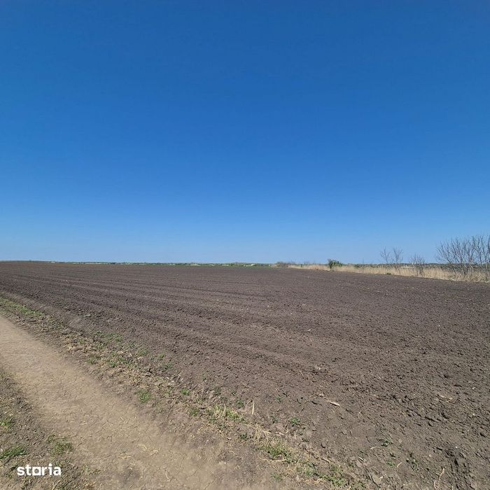 GRADISTEA - Sat Sitaru, teren agricol 11.961mp, ideal investitie