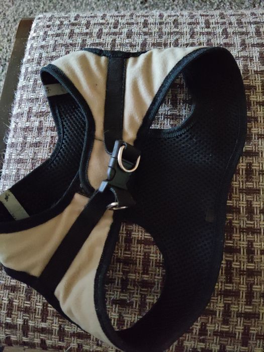 Шлейка для собак