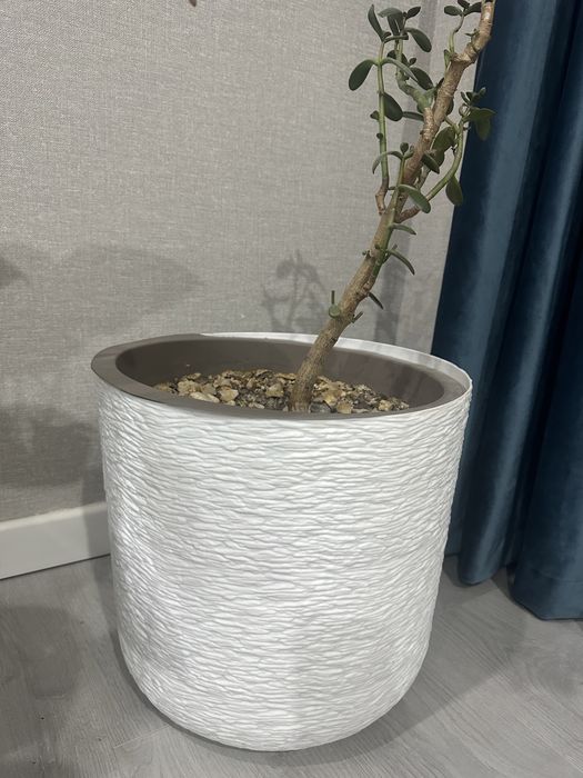 Посуда для цветка