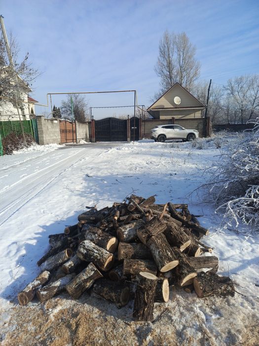 Продам дрова , есть разные виды