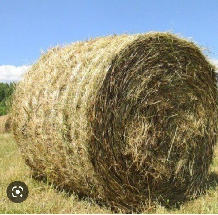 Рулон  тюки сено зелёный