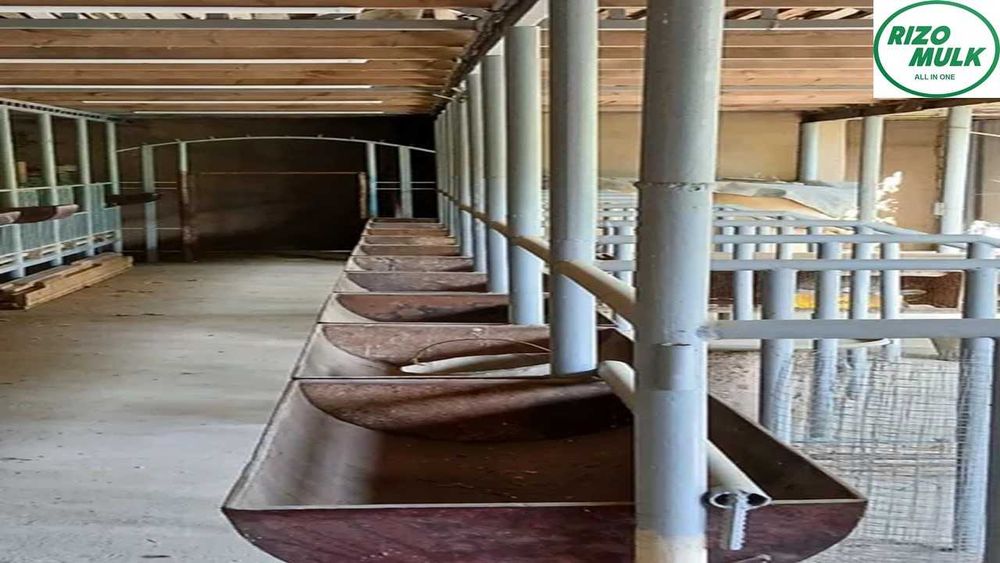 Назарбекда Ферма сотилади. NR494/84