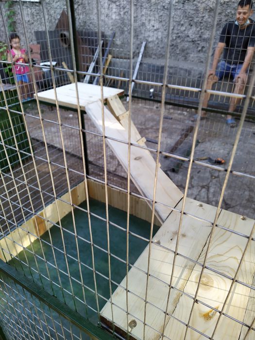 Кошатник клетки для животных