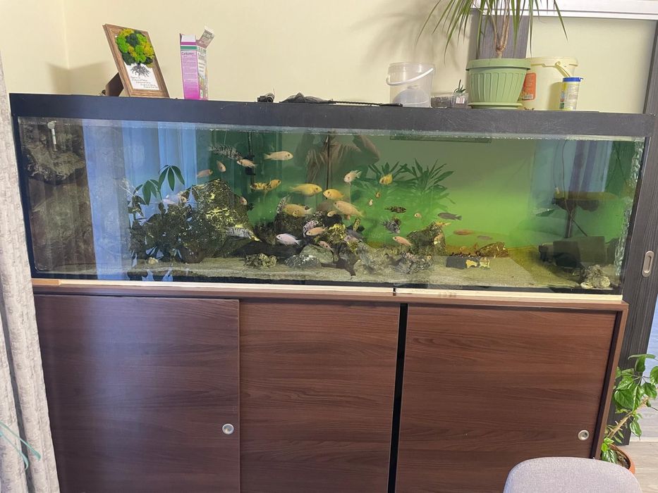 Acvariu 200/60/60 -720 L