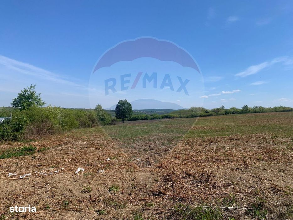 De vânzare teren intravilan 1,955mp , Paleu