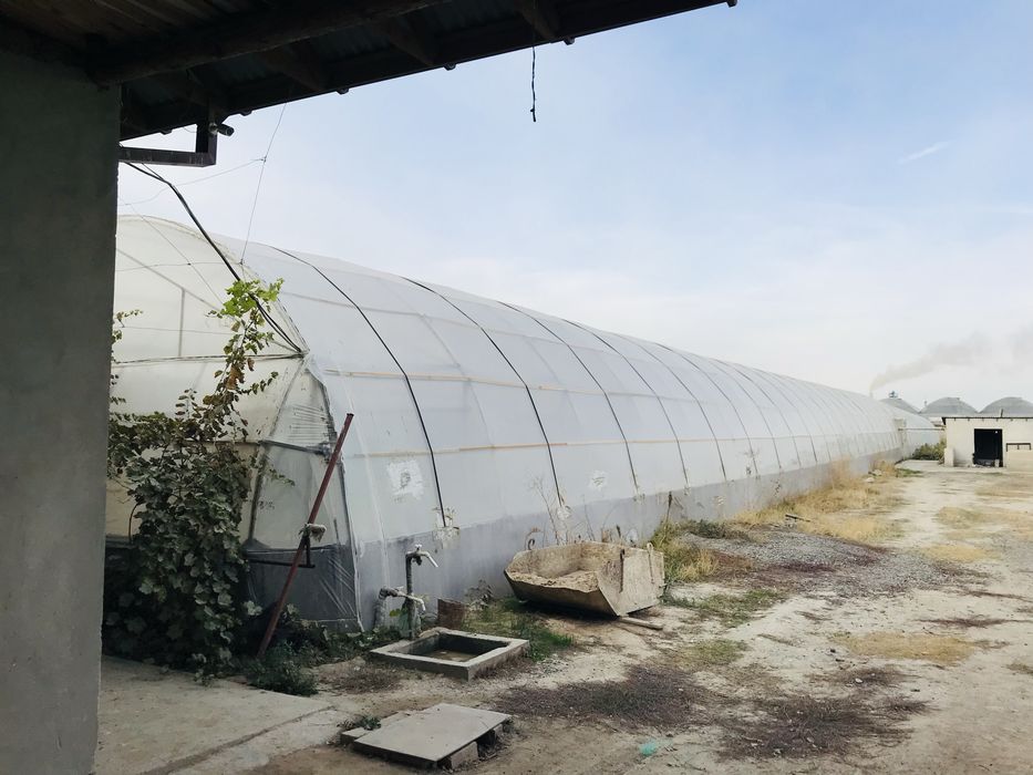 Parnik Ijaraga beramiz Samarqand ( Superda )