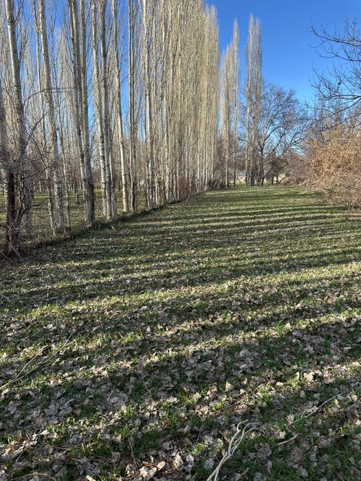 Продается участок в поселке Каскасу